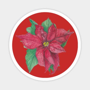 Poinsettia I Magnet